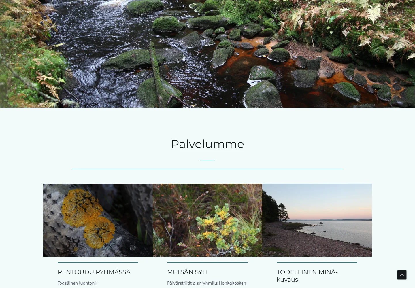Todellinen Luontoni palvelut