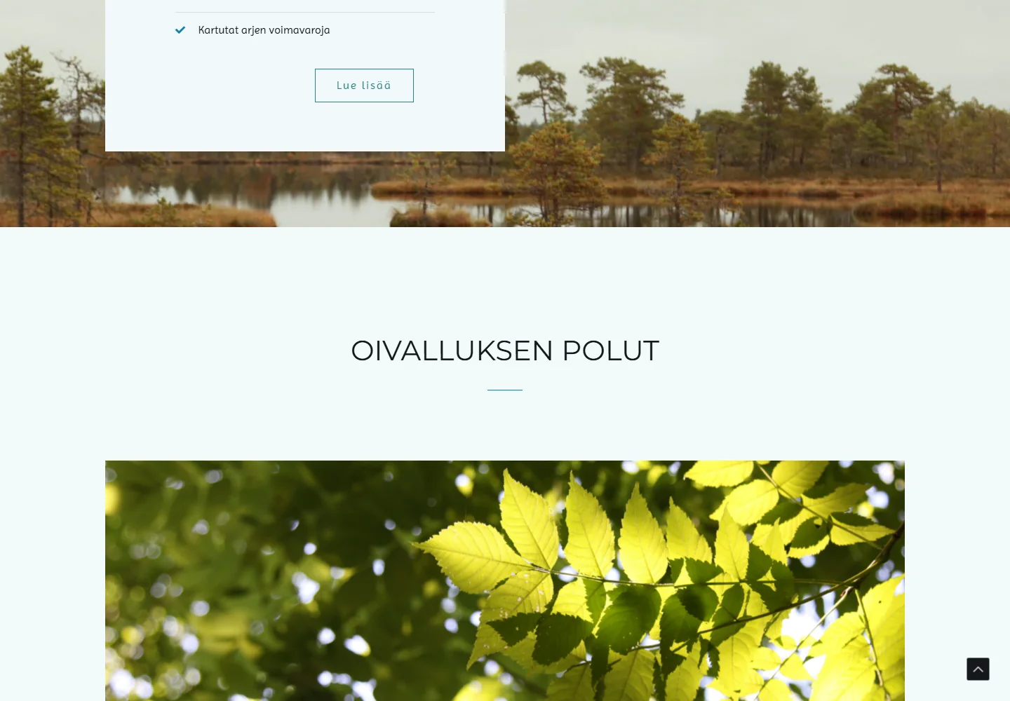 Todellinen Luontoni sisältönäkymä